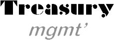 Treasury Management SA